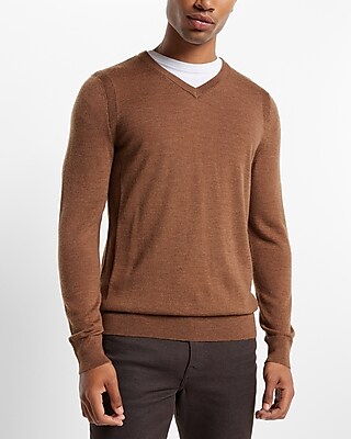 Big & Tall Solid Merino Wool V-Neck Sweater Brown Men's XXL