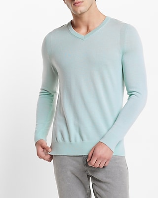 Big & Tall Solid Merino Wool V-Neck Sweater Green Men's XXL