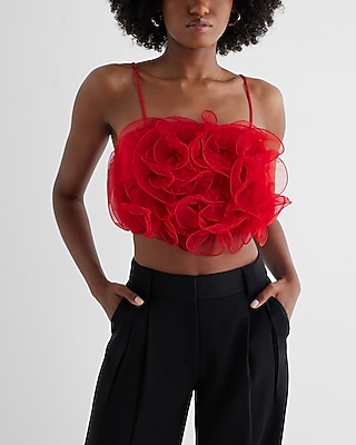 Mesh Rosette Crop Top