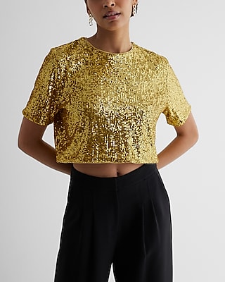 Skimming Sequin Crew Neck Boxy Crop Top