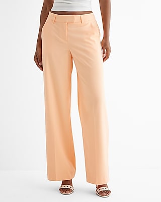 Editor Mid Rise Relaxed Trouser Pant Women's Long