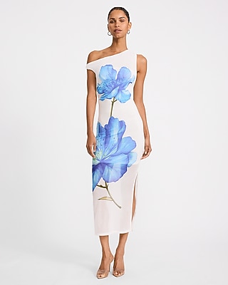 Express Women's Floral Mesh One Shoulder Twist Strap Maxi Dress Large
