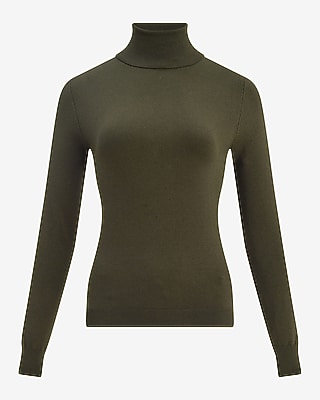 Fitted Turtleneck Sweater in Silky Soft