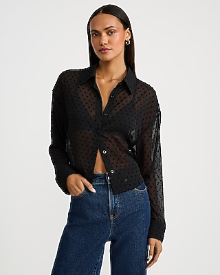 Sheer Textured Chiffon Shirt