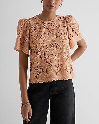 Embroidered Crochet Puff Sleeve Top Brown Women's XS