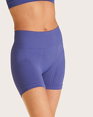 Alala Barre Mid Rise Seamless Biker Shorts Purple Women's M