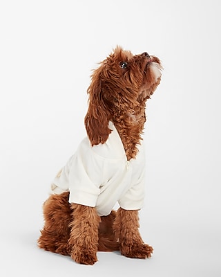 Chewnel Dog Hoodie – PomPlanet