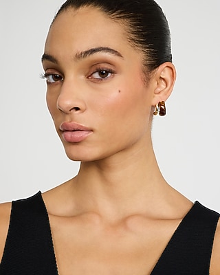 Gold Tortoise Shell Two Pack Hoop Earrings