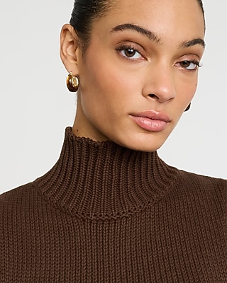 Mini Tortoise Shell Huggie Earrings