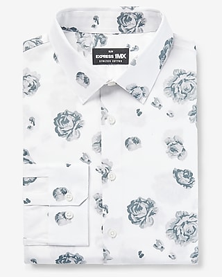 champagne dress shirt express