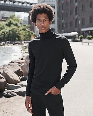 Solid Merino Wool Turtleneck Sweater | Express