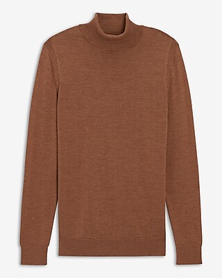 Solid Merino Wool Turtleneck Sweater