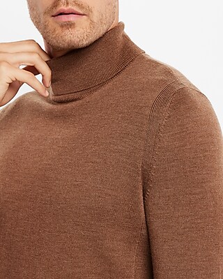 Solid Merino Wool Turtleneck Sweater