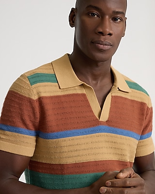 Striped Merino Wool Long Sleeve Sweater Polo | Express