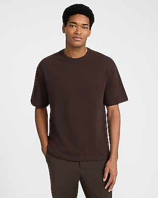 Classic Fit Premium Weight T-shirt | Express