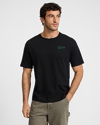 Express Perfect Pima Cotton Graphic T-shirt