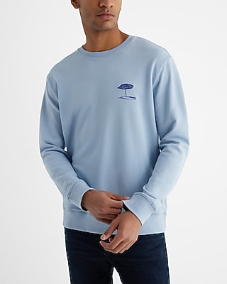 Embroidered Chest Graphic Crew Neck Sweatshirt | Express