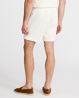 6" Textured Crochet Elastic Waist Shorts