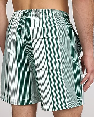 6" Striped Elastic Waist Swim Trunks