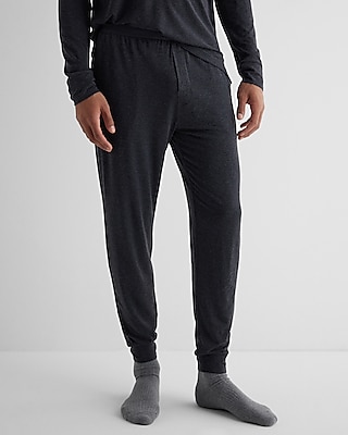 Express store jogger pants