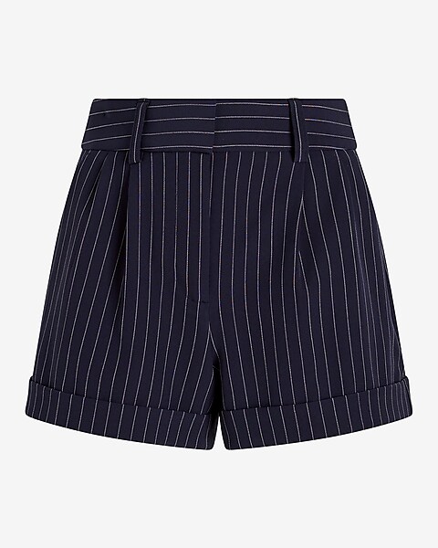 Stylist High Waisted Pinstripe Pleated Shorts