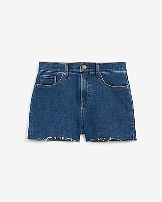 High Waisted Dark Wash Raw Hem Vintage Jean Shorts