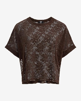 Sheer Lace Crew Neck Short Sleeve Oversized Tee