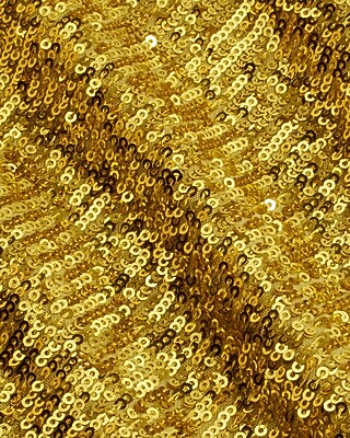 Skimming Sequin Crew Neck Boxy Cropped Tee | Express