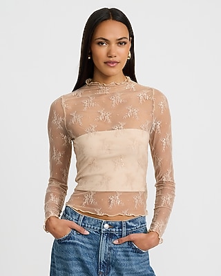 Sheer Lace Mock Neck Long Sleeve Top | Express