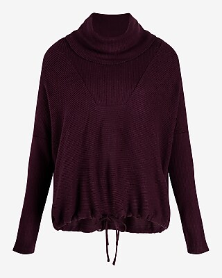 Ribbed Cozy Knit Turtleneck Cinched Hem Top | Express