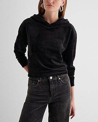 Skimming Velour Cropped Hoodie | Express