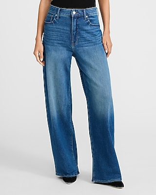 Low Slung Dark Wash Side Stripe Baggy Jeans | Express