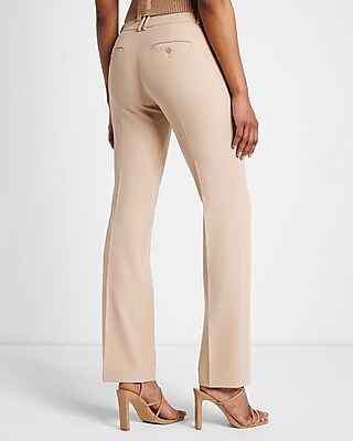 Editor Original Low Rise Bootcut Pant