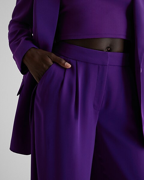 Express, Stylist Super High Waisted Pleated Wide Leg Pant in Purple