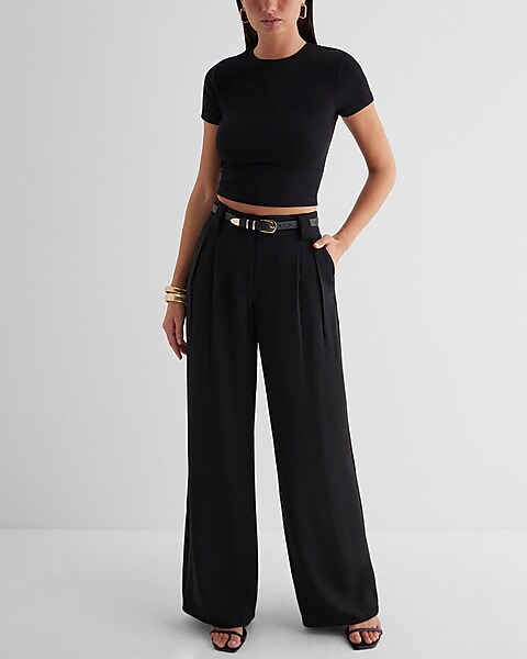 Express High Waisted Pleated Wide Leg Pant  Wide leg pants, Womens black dress  pants, High waisted