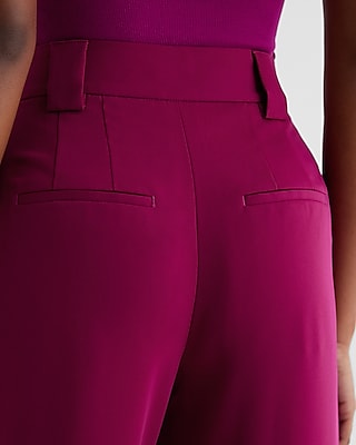Stylist High Waisted Pleated Wide Leg Pant