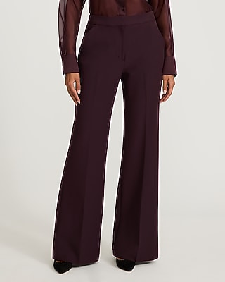 Women's Purple Pants - Express