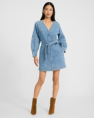 Denim V-Neck Long Sleeve Tie Waist Mini Dress