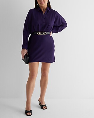 Collared Half Button Up Mini Portofino Shirt Dress | Express