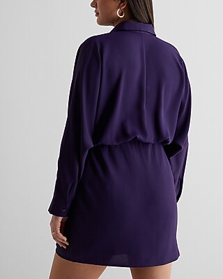 Collared Half Button Up Mini Portofino Shirt Dress | Express
