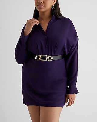 Collared Half Button Up Mini Portofino Shirt Dress | Express