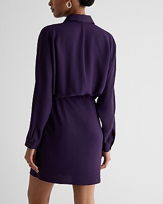 Collared Half Button Up Mini Portofino Shirt Dress | Express