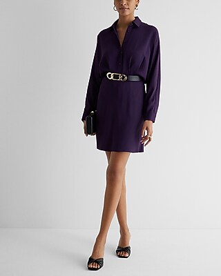 Collared Half Button Up Mini Portofino Shirt Dress | Express