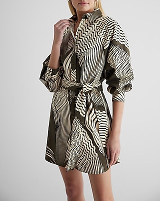 express portofino shirt dress