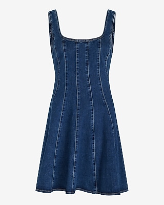 Medium Wash Denim Sleeveless Corset Mini Fit And Flare Dress | Express