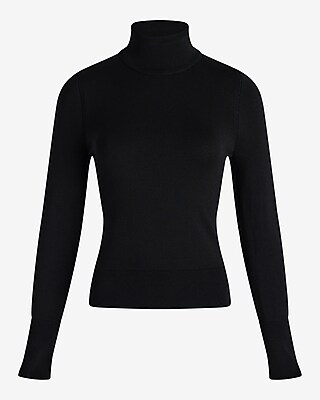 Silky Soft Fitted Turtleneck Sweater Express