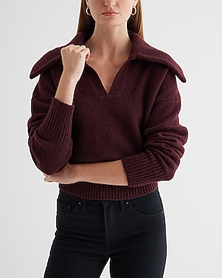 V neck Long Sleeve Polo Sweater Express