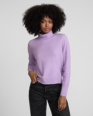 Cloud Soft Turtleneck Sweater | Express