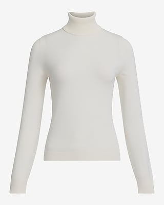 Silky Soft Fitted Turtleneck Sweater
