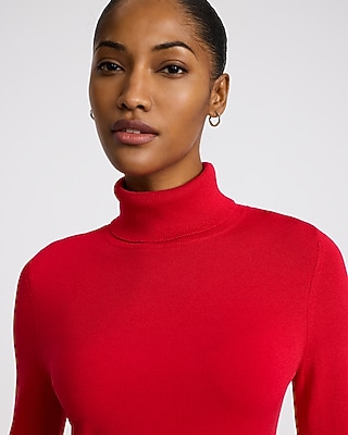 Silky Soft Fitted Turtleneck Sweater
